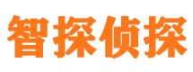 遂宁市侦探调查公司